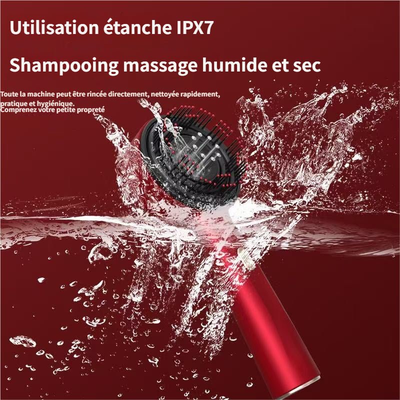 Pack Routine Repousse — Brosse Massante LED + Sérum Repousse - Tanéon